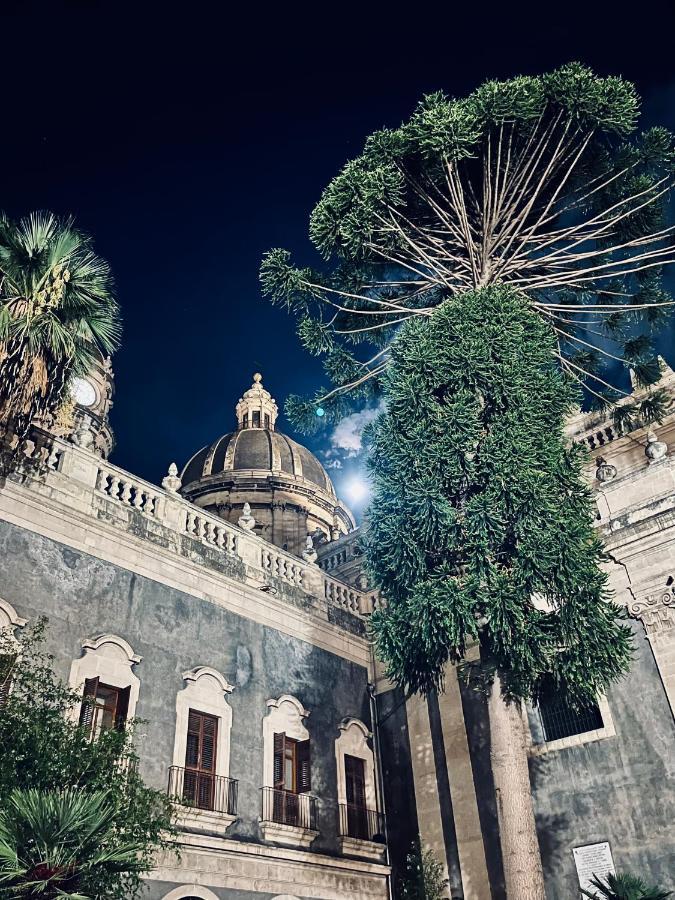 La Terrazza Di Sant'agata Appartement Catane