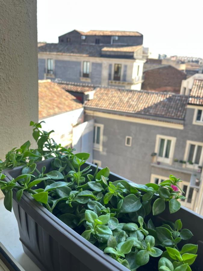 Appartement La Terrazza Di Sant'agata *